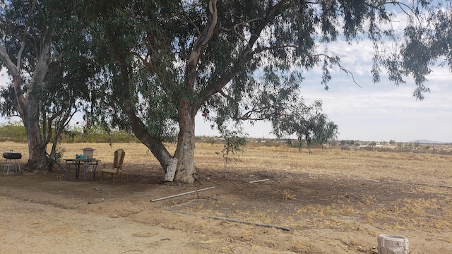 view of yard featuring a rural view