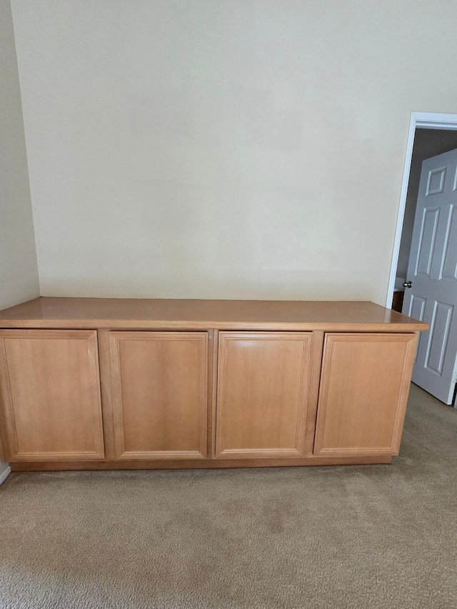 39294 Butler St, Palmdale, CA 93551 - detailed view of carpet flooring