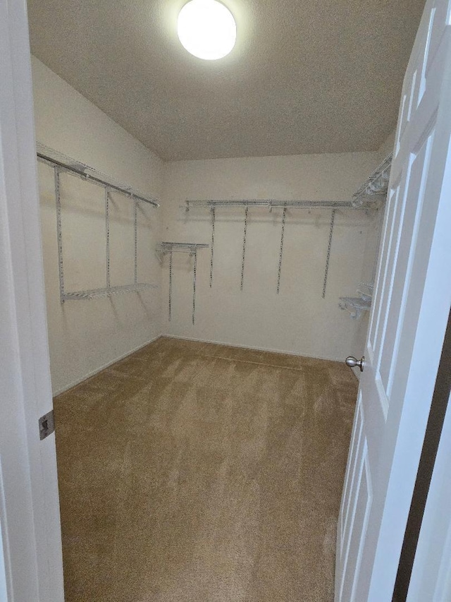 39294 Butler St, Palmdale, CA 93551 - spacious closet with carpet