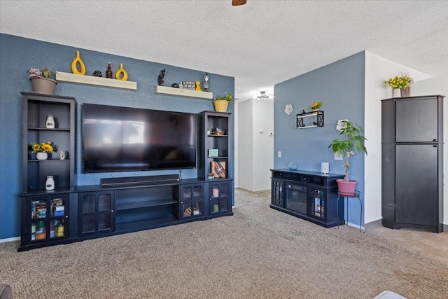 living room with carpet flooring and a textured ceiling