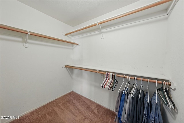 36525 Summerholly Cir, Palmdale, CA 93550 - walk in closet with carpet flooring