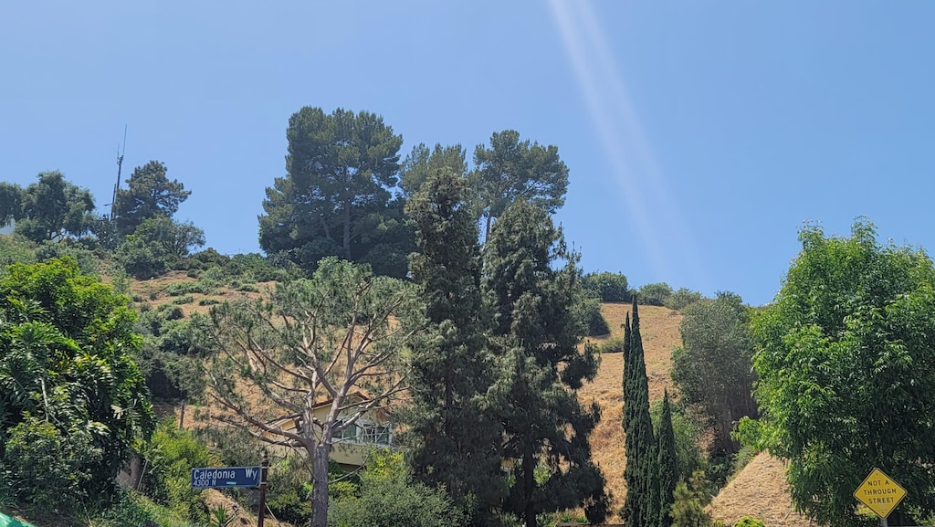 Sagamore Way, Los Angeles, CA 90065