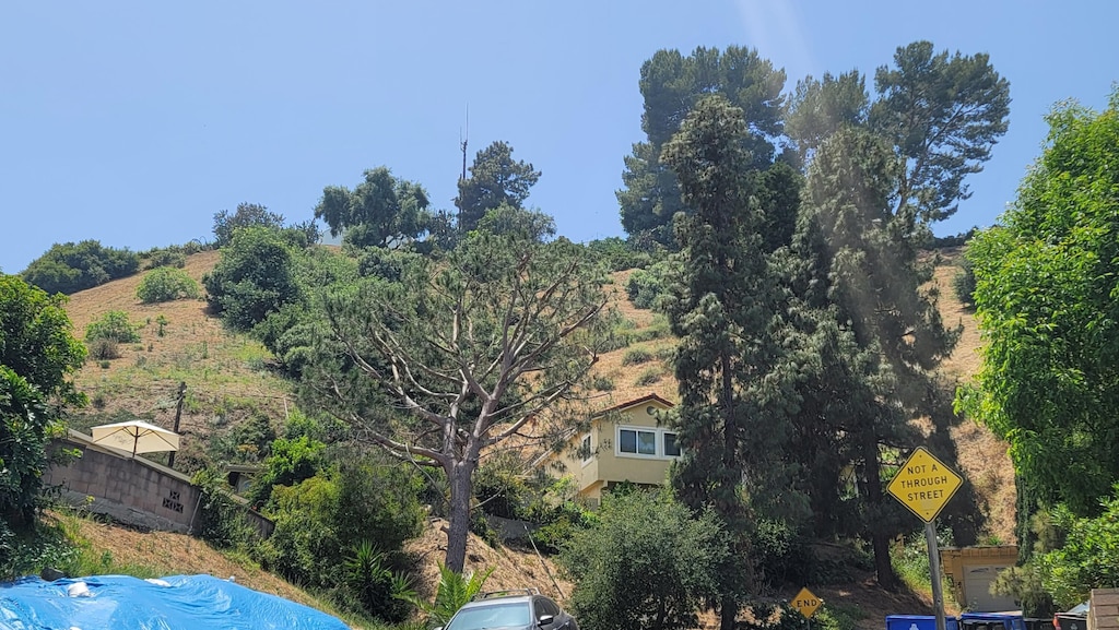Sagamore Way, Los Angeles, CA 90065