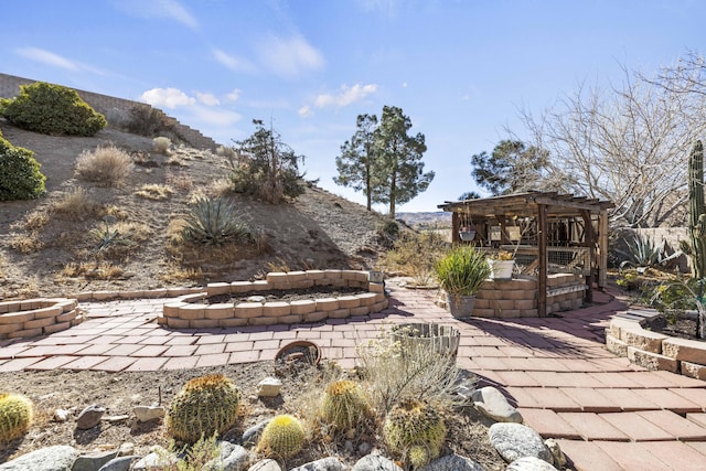 view of yard featuring a patio