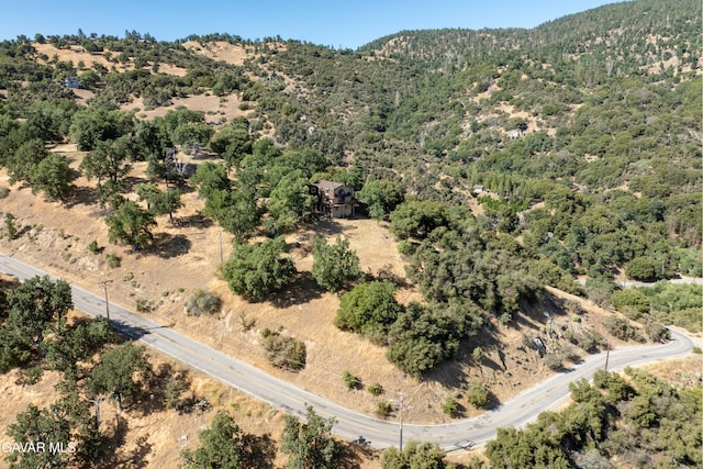 30131 Starland Dr, Tehachapi, CA 93561 - photo 30