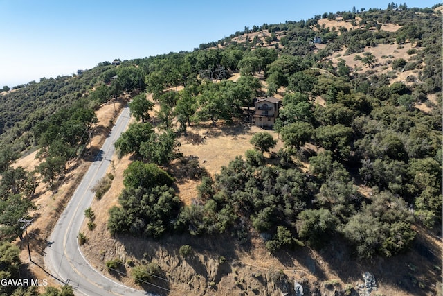 30131 Starland Dr, Tehachapi, CA 93561 - photo 28