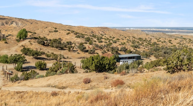 9363 Colley Pl, Littlerock, CA 93543