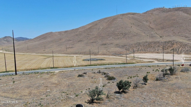 10100 Tehachapi Rd, Tehachapi, CA 93561 - photo 11
