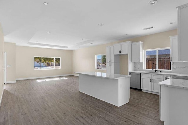 kitchen with stainless steel dishwasher, a kitchen island, white cabinets, and a tray ceiling