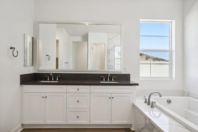 bathroom featuring vanity and a tub