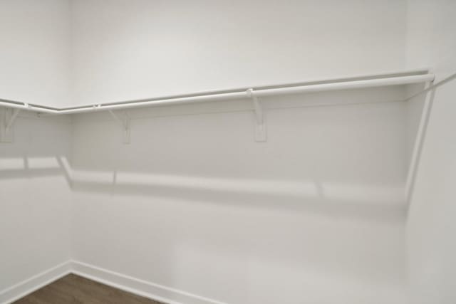 spacious closet with dark wood-type flooring