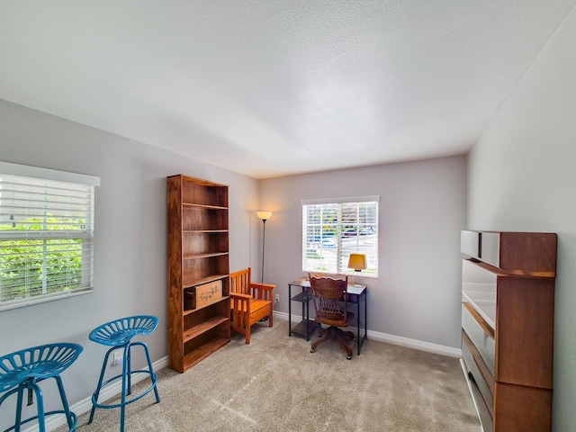 home office with light colored carpet and baseboards