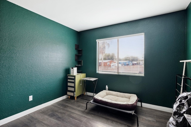 sitting room featuring dark wood-type flooring