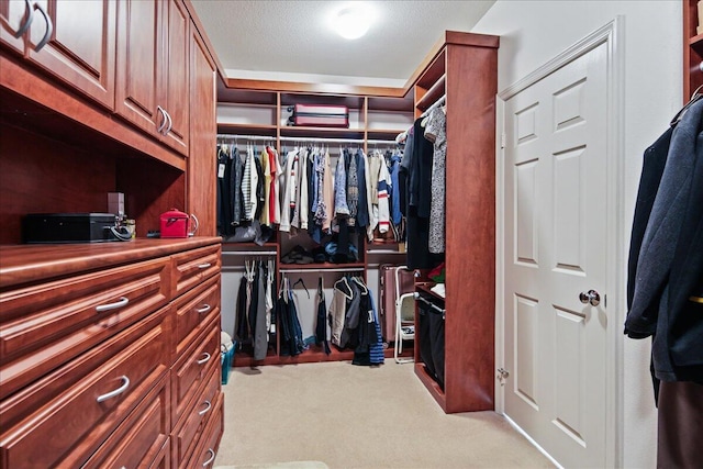 spacious closet with light colored carpet