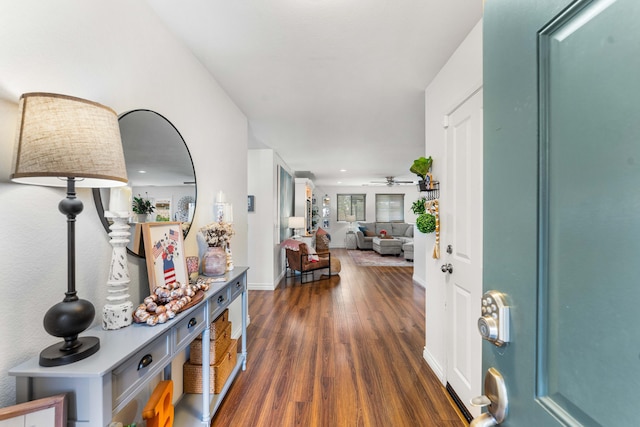 foyer featuring dark hardwood / wood-style floors and ceiling fan