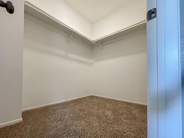 walk in closet featuring carpet