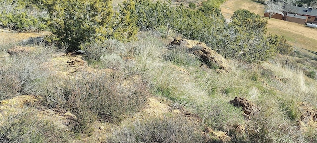 34401 Governor Mine Rd, Acton, CA 93510 - photo 2
