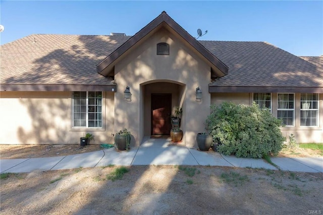 view of front of house featuring a shingled roof, a patio, and stucco siding