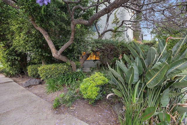 11625 Texas Ave Apt 101, Los Angeles, CA 90025 - photo 38