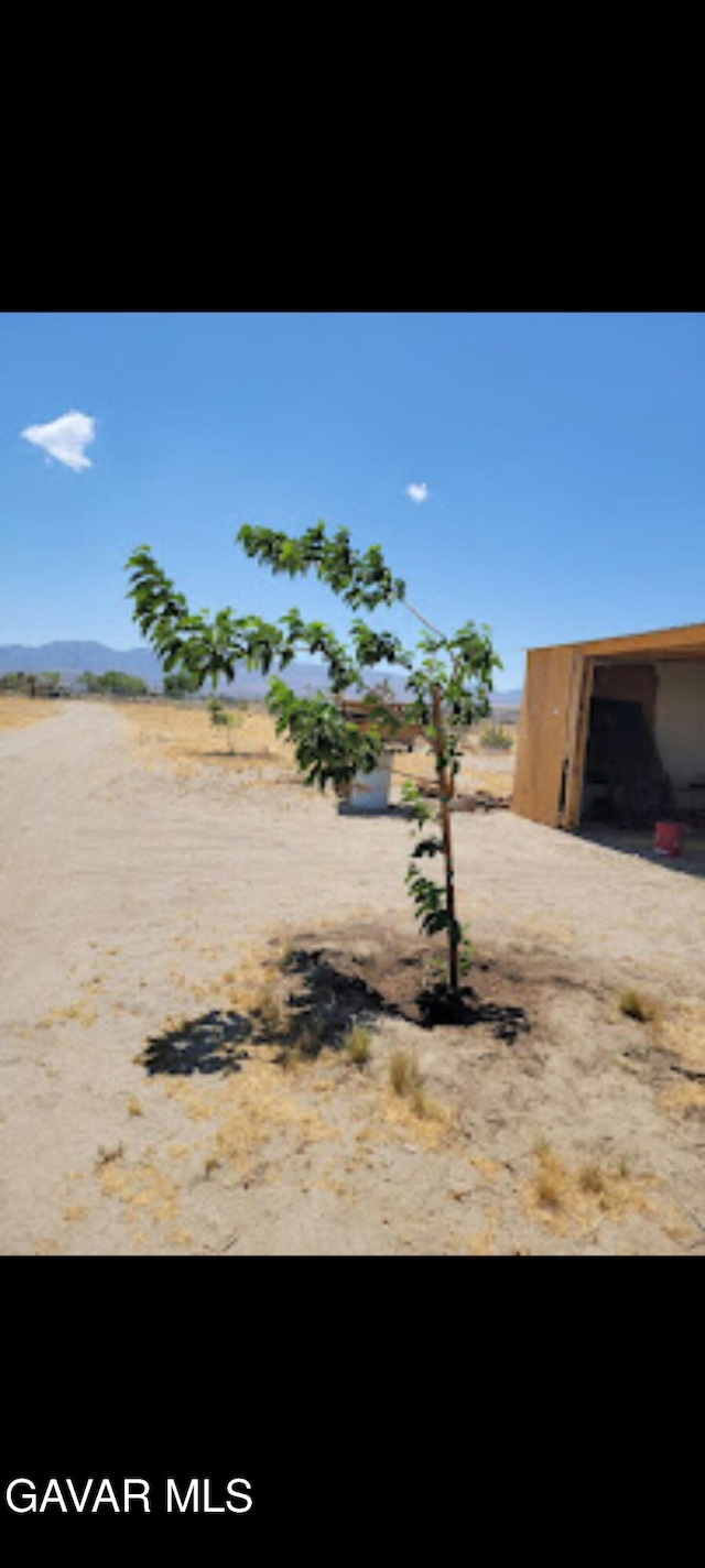 VICVAC R4 Ave, Littlerock, CA 93543 - photo 5