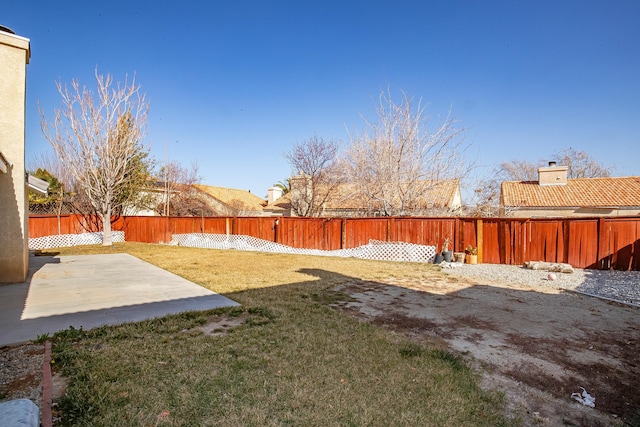 view of yard featuring a patio area