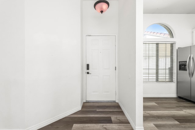 entrance foyer with dark wood-type flooring