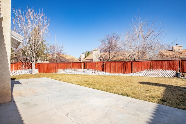 view of yard featuring a patio