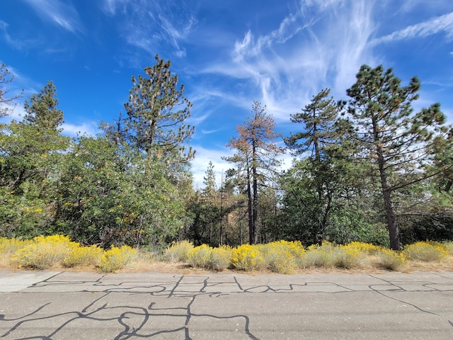 25840 Wilderness Way, Tehachapi CA, 93561 land for sale