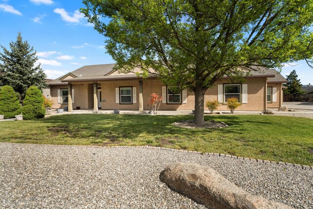ranch-style home with stucco siding, a front yard, and covered porch