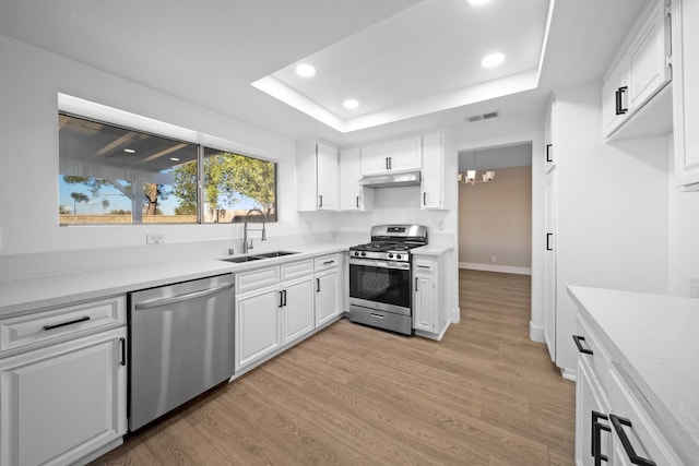 kitchen with sink, light hardwood / wood-style flooring, a tray ceiling, white cabinetry, and stainless steel appliances