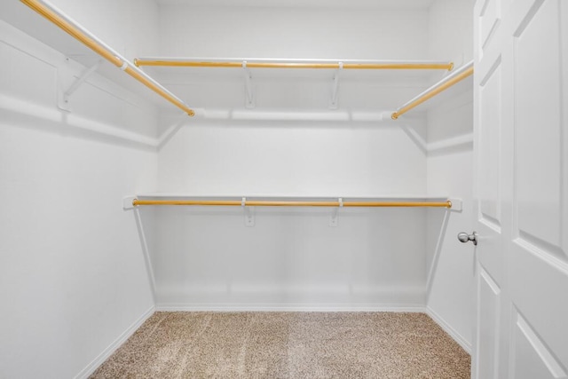 walk in closet featuring carpet