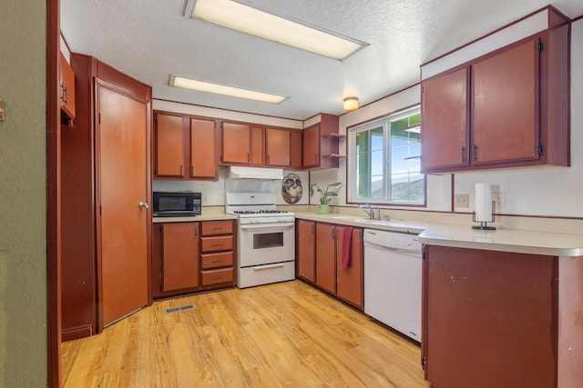 kitchen featuring sink, a textured ceiling, white appliances, and light wood-type flooring