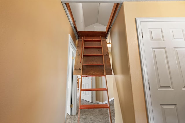 stairs featuring vaulted ceiling and carpet flooring