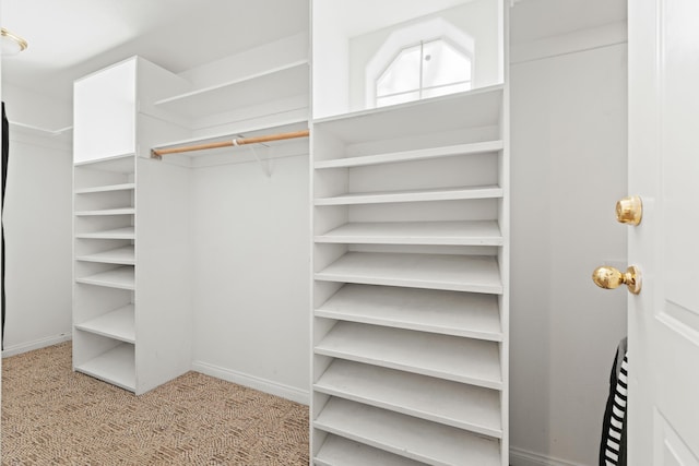 spacious closet featuring carpet