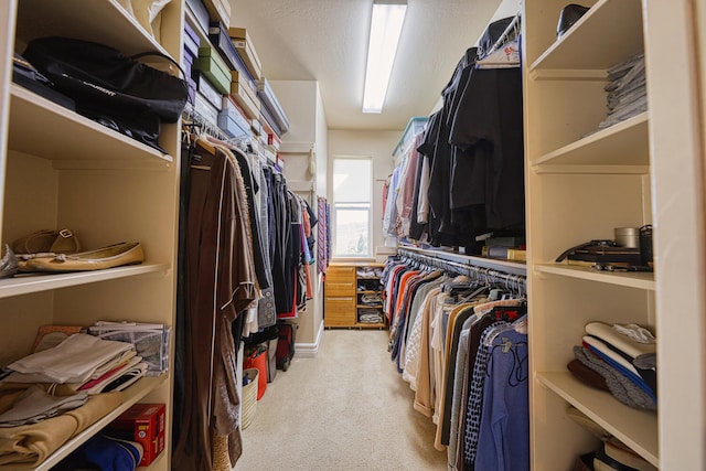 walk in closet with light colored carpet