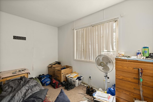 miscellaneous room featuring carpet flooring