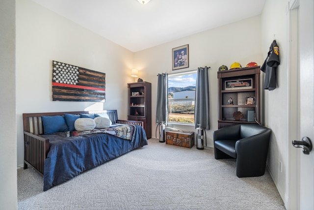 bedroom with carpet