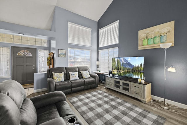 living room with hardwood / wood-style flooring and high vaulted ceiling