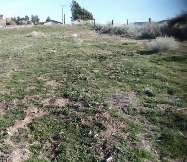 Ripton Rd, Lake Elizabeth, CA 93532