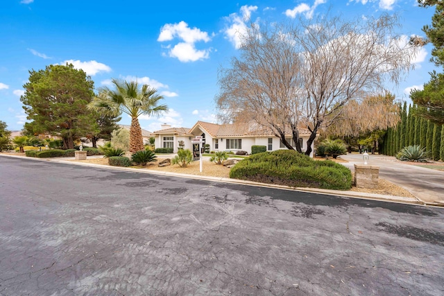 41901 Cll Clarita, Lancaster, CA 93536 - ranch-style home featuring stucco siding, a tile roof, and driveway