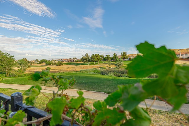 view of home's community with a lawn