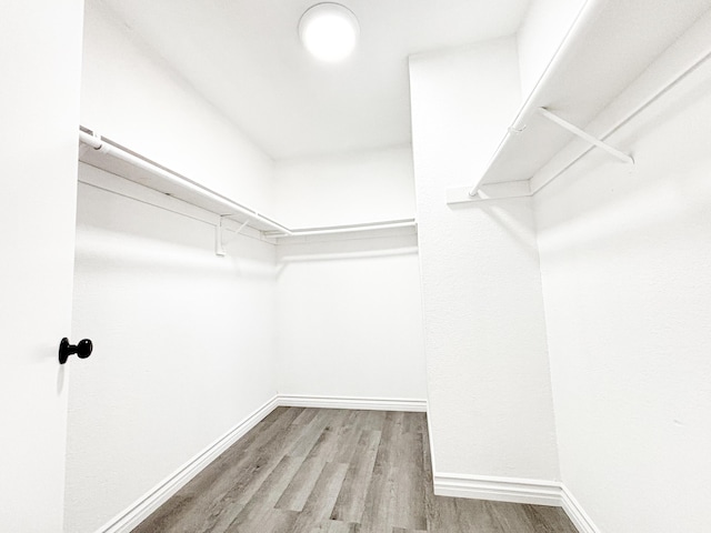 walk in closet with hardwood / wood-style flooring