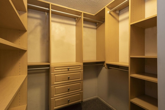 spacious closet featuring dark colored carpet