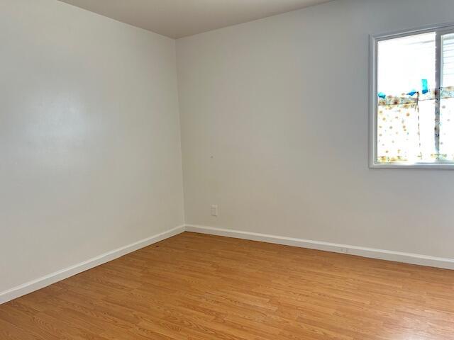 empty room with a healthy amount of sunlight, light wood-type flooring, and baseboards