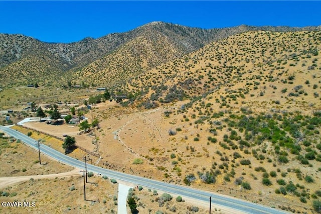 Juniper Hills Rd, Juniper Hills, CA 93543
