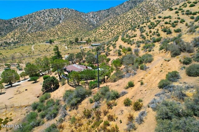 Juniper Hills Rd, Juniper Hills, CA 93543