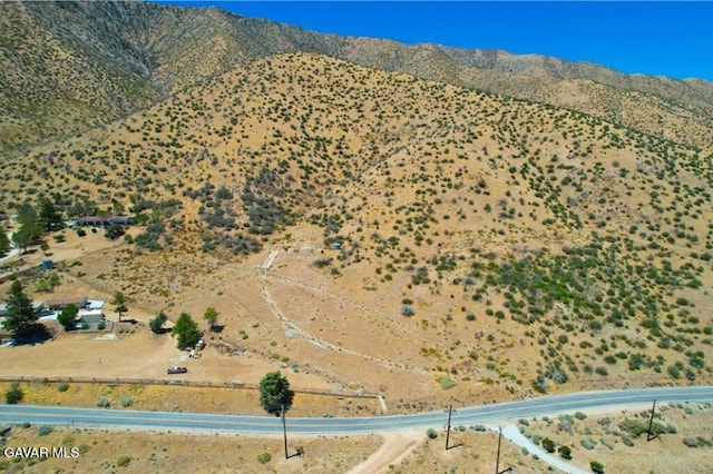 Juniper Hills Rd, Juniper Hills, CA 93543