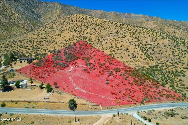 Juniper Hills Rd, Juniper Hills, CA 93543