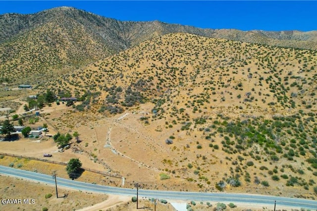 Juniper Hills Rd, Juniper Hills, CA 93543