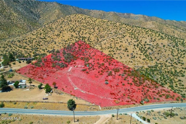 Juniper Hills Rd, Juniper Hills, CA 93543